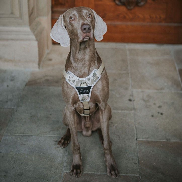 Hunter Divo Camouflage hám - bézs