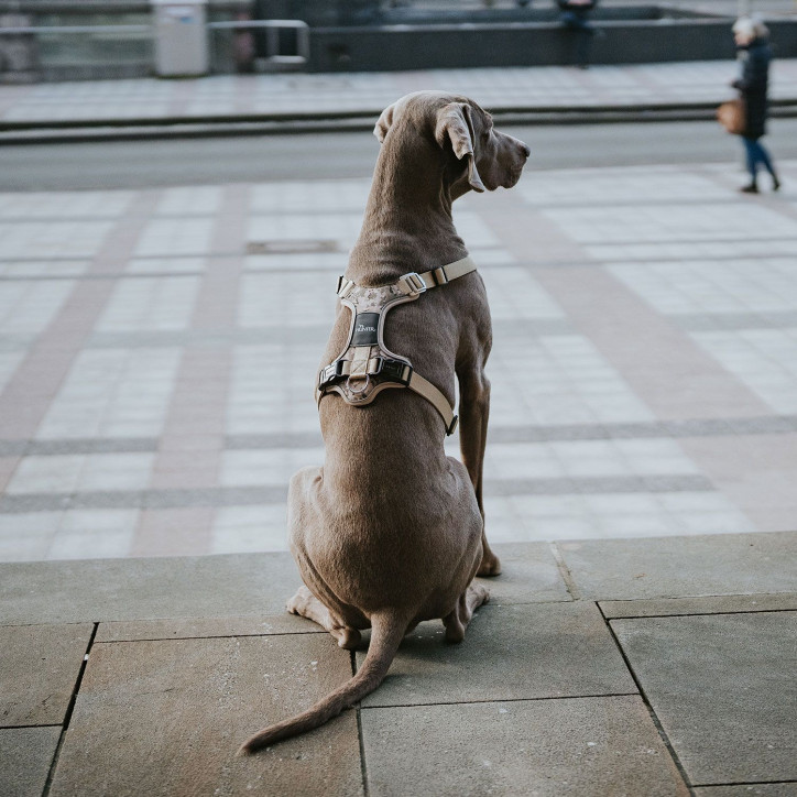 Hunter Divo Camouflage hám - bézs