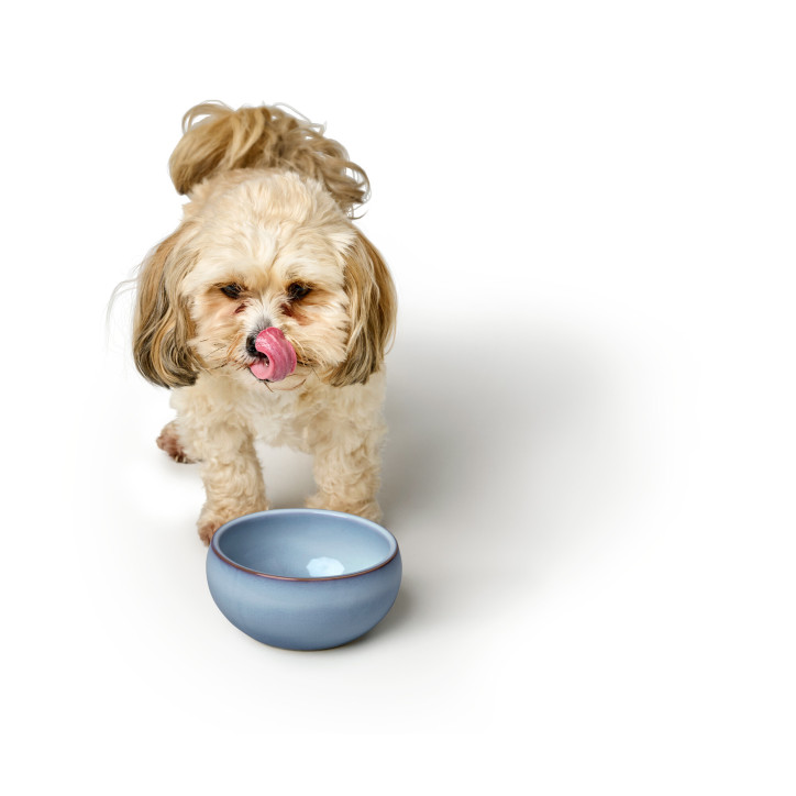 Hunter Braga kerámiatál - kék