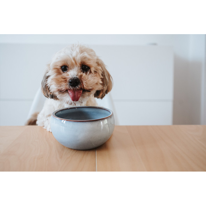 Hunter Braga kerámiatál - kék