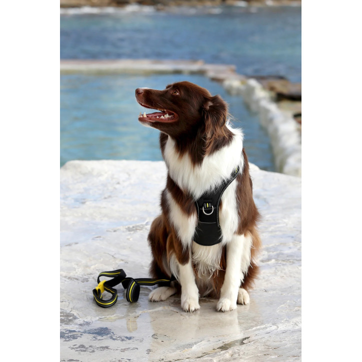 Doog Neotech Heavy Duty hám - Bolt