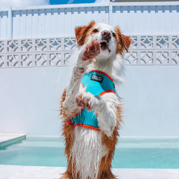 Doog Neoflex hám - Beethoven