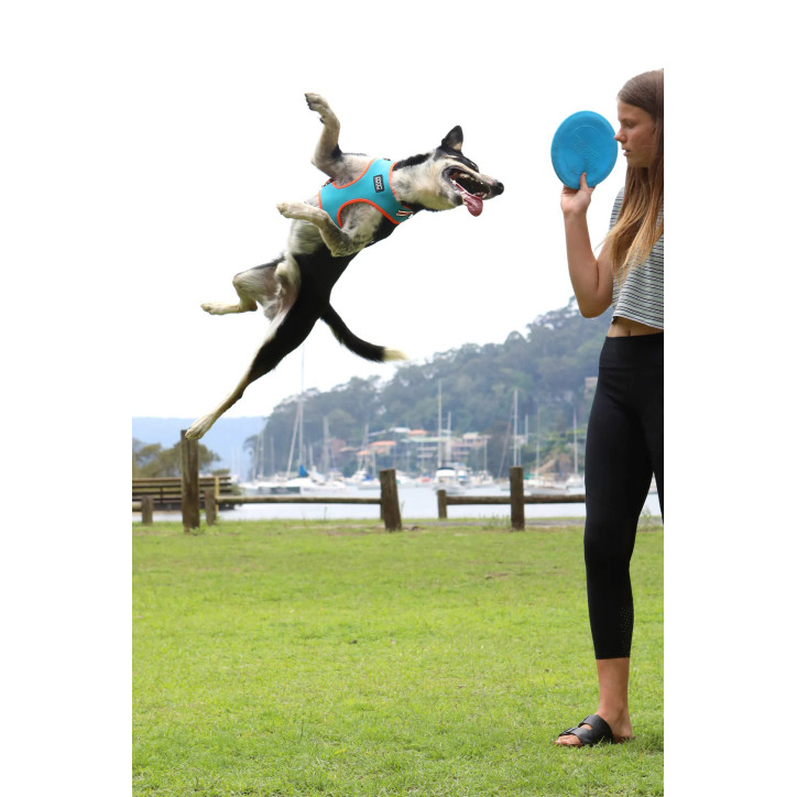 Doog Neoflex hám - Beethoven