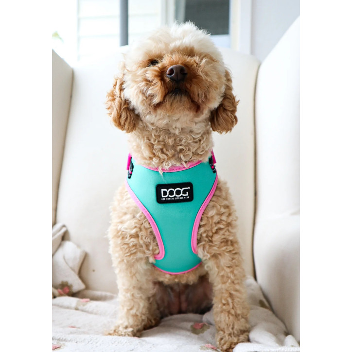 Doog Neoflex hám - Rin Tin Tin