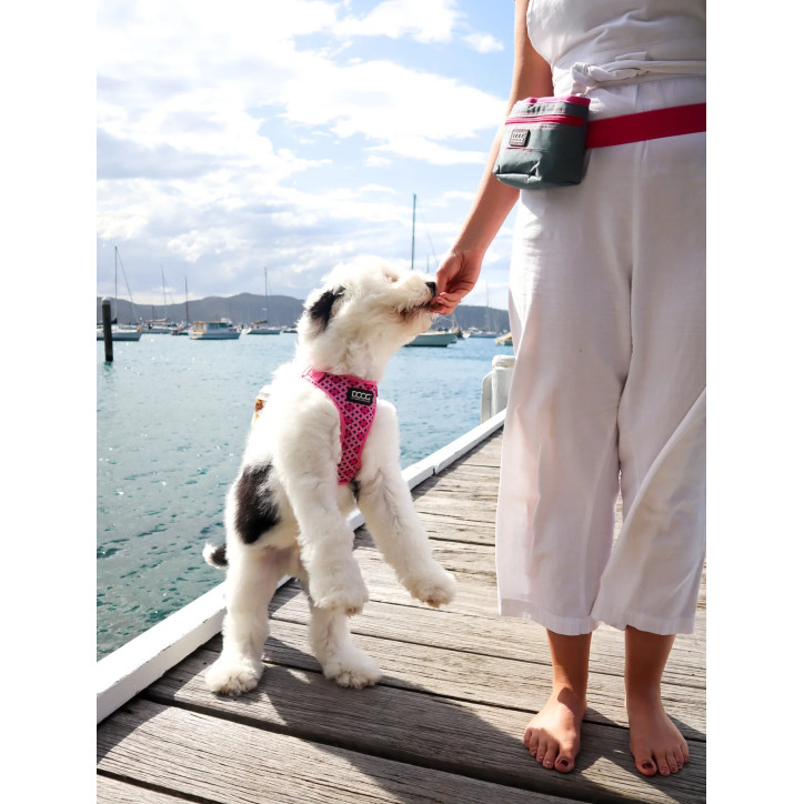 Doog Neoflex hám - Lady