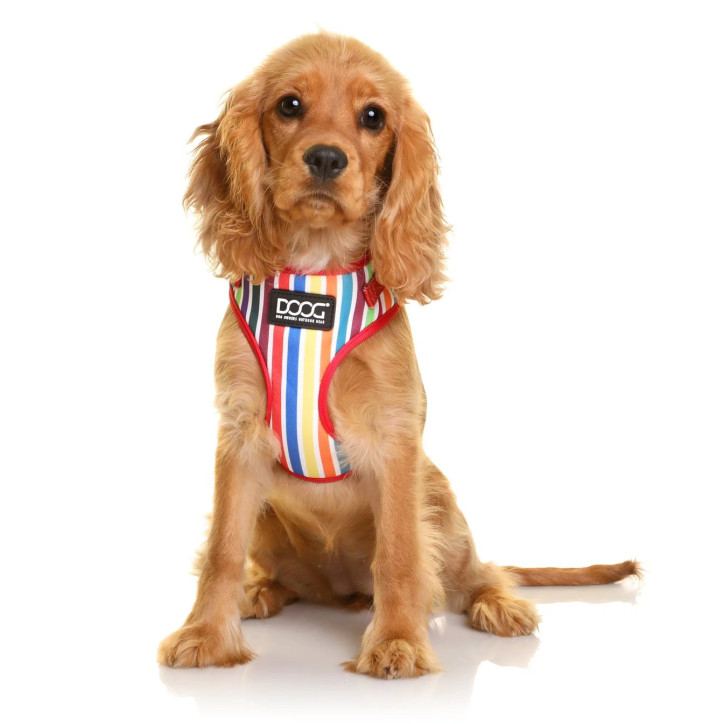 Doog Neoflex hám - Scooby