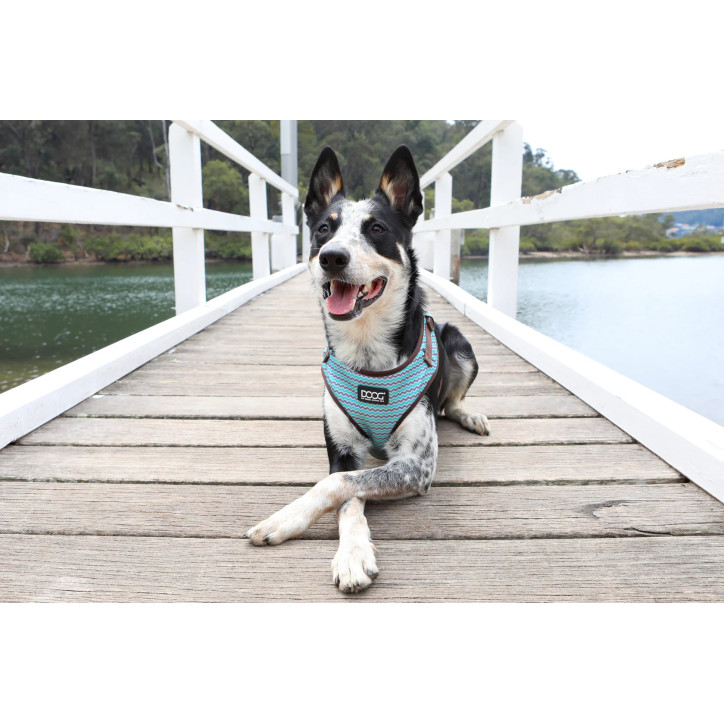 Doog Neoflex hám - Benji