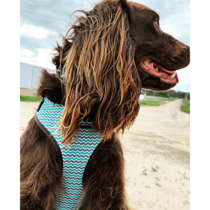 Doog Neoflex hám - Benji