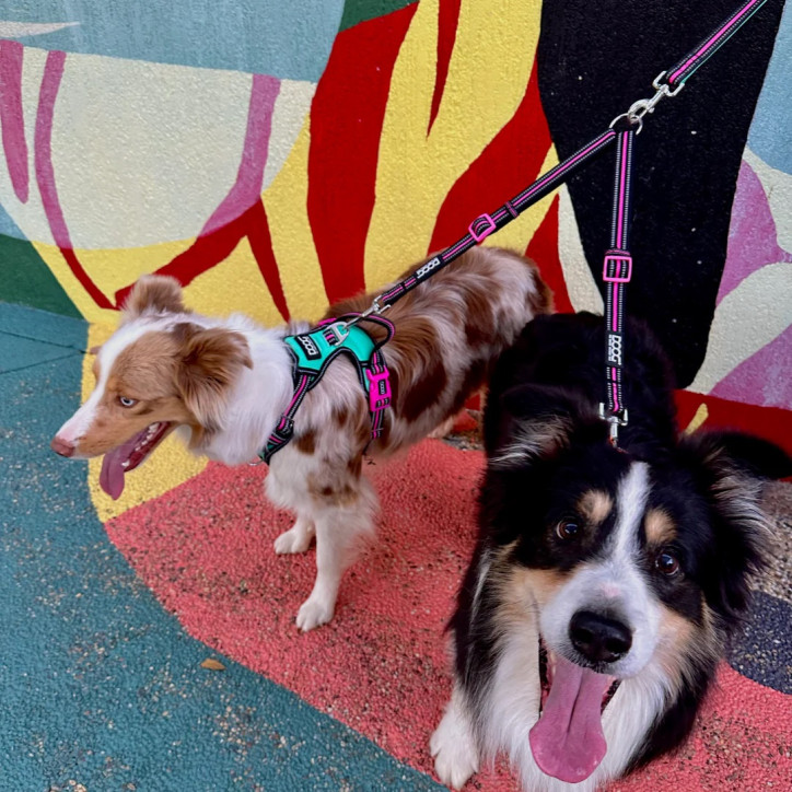 Doog dupla szárú pórázhosszabbító - Rin Tin Tin
