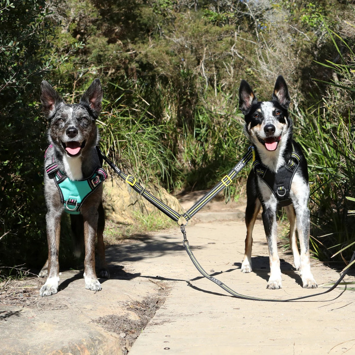 Doog dupla szárú pórázhosszabbító - Bolt