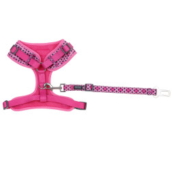 Doog biztonsági öv-Toto