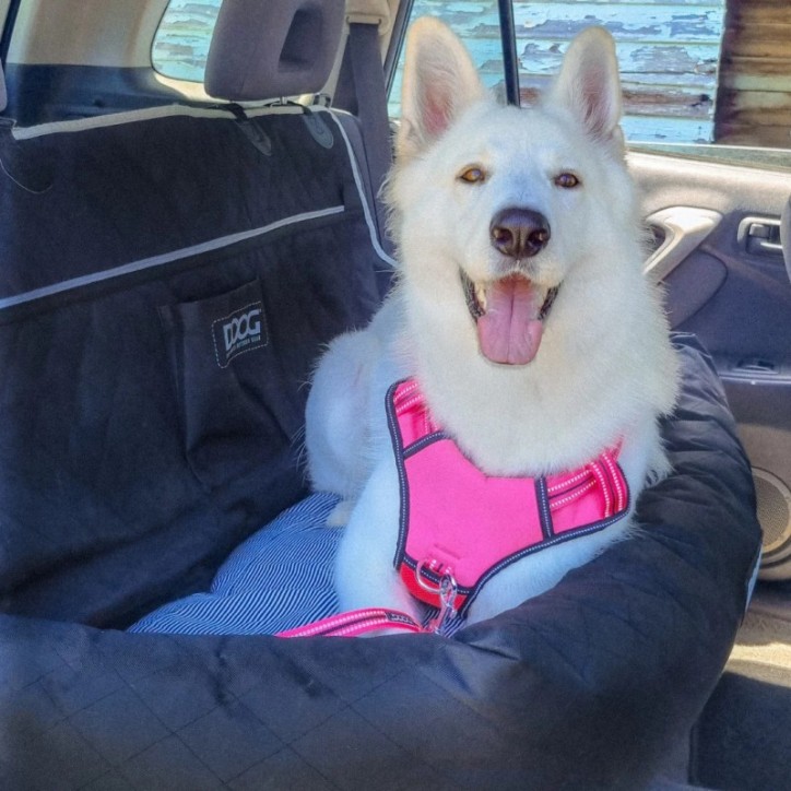 Doog Car Seat - Large