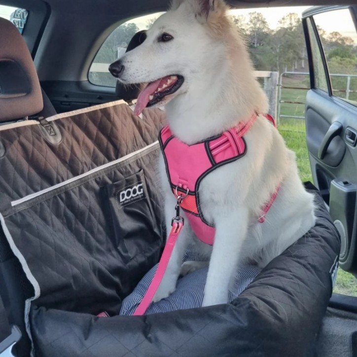 Doog Car Seat - Large