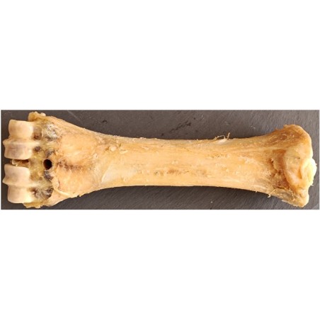 Teomann Világos Borjúlábszárcsont