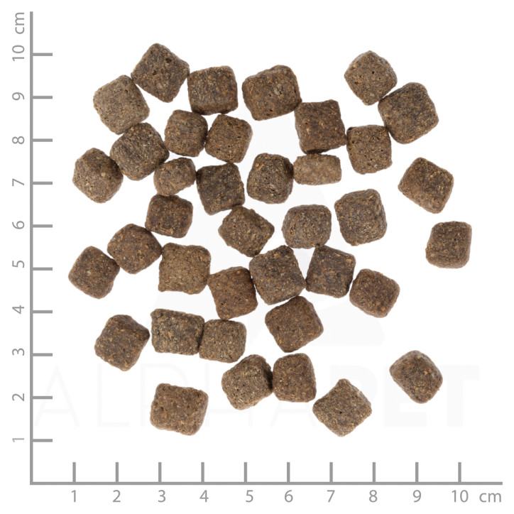 Wolfsblut Dark Forest Senior - Vad édesburgonyával 2 kg