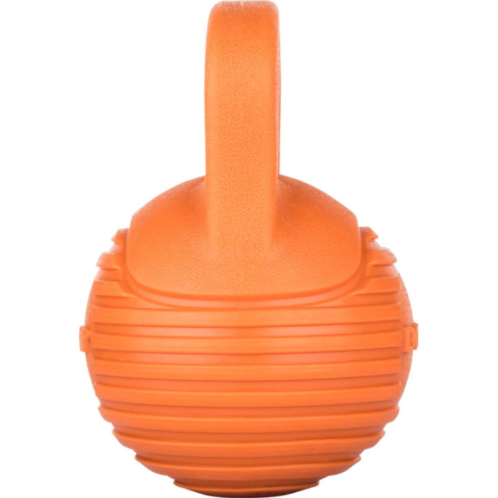 Design 4Pets DOGGI Dumbbell