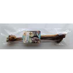 Teomann szárított strucc lábszárcsont