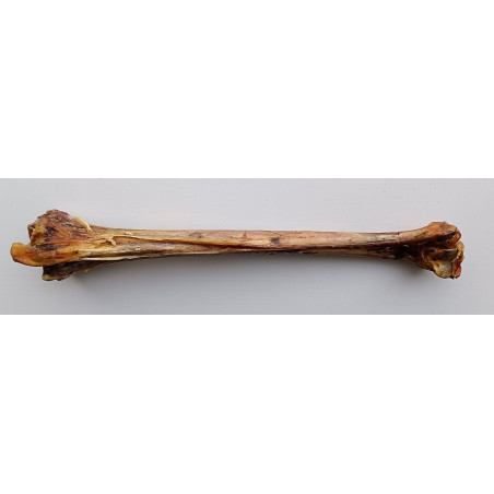 Teomann szárított strucc lábszárcsont