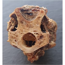 Teomann Szárított Strucc nyak