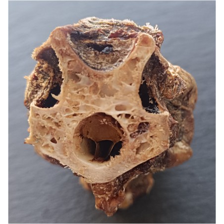 Teomann Szárított Strucc nyak