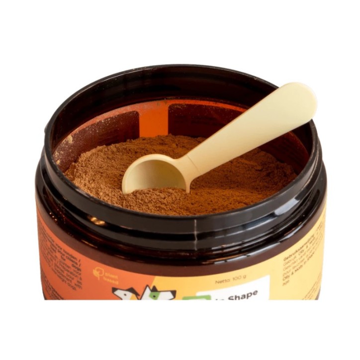 Olly & Molly In Shape - Súlykontroll