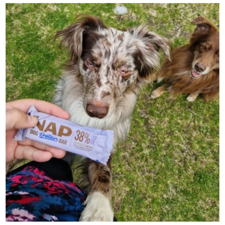 NAP Protein szelet - marha levendulával 50g