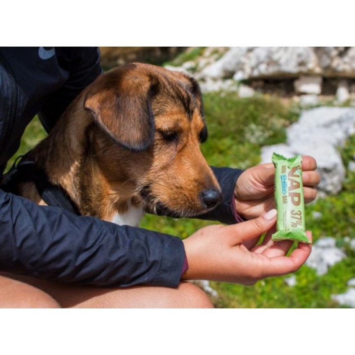 NAP Protein szelet - rovaros 50g