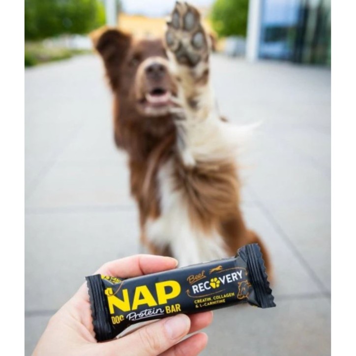 NAP Protein szelet - recovery 50g