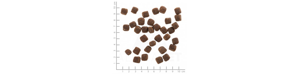 Small Breed